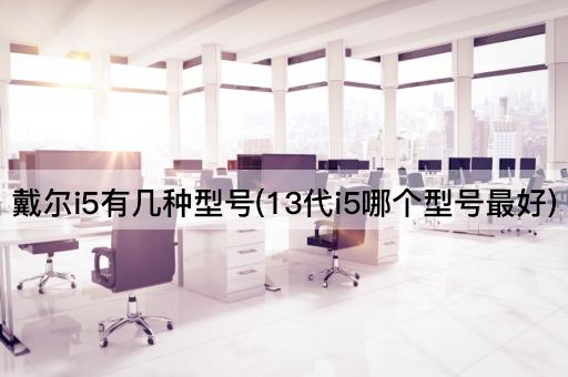戴尔i5有几种型号(13代i5哪个型号最好)