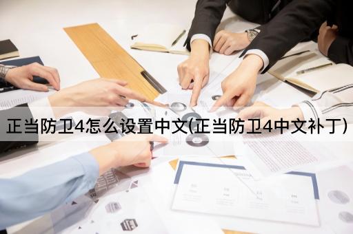 正当防卫4怎么设置中文(正当防卫4中文补丁)