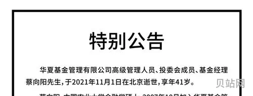 华夏蔡向阳2021年基金怎么样(华夏新经济转型基金)