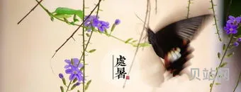 二十四节气中处暑的读音(处暑前一个节气是什么)
