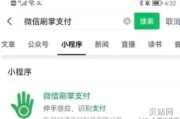 微信刷掌支付发布(刷掌支付设备)